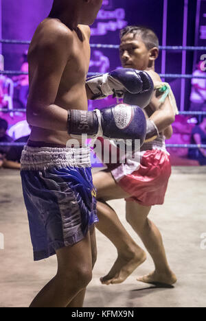 Jungs, Muay Thai Boxer kämpfen, Bangkok, Thailand Stockfoto