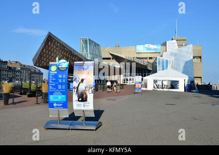 Äußere des New England Aquarium mit Ticket der Plakate auf den Hafen von Boston Waterfront. USA Stockfoto