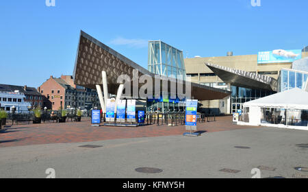 Boston New England Aquarium an der Waterfront Stockfoto