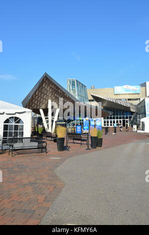 Äußere des New England Aquarium auf Central Wharf Boston, MA USA Stockfoto