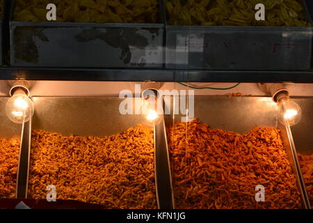 Indische salzige Snacks Süßigkeiten Shop anzeigen Stockfoto
