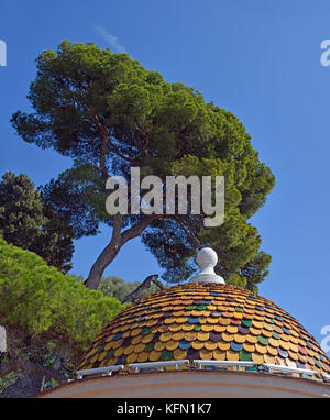 Pinien & alte Architektur auf Gebäude über die Stadt Nizza, Provence, Frankreich Stockfoto