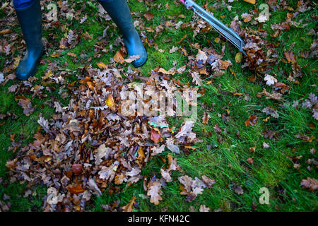 Herbst Blätter fallen in Garten geharkt Stockfoto