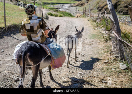 Das tägliche Leben in das höchste Dorf von Aserbaidschan. Ein Junge reitet auf einem Esel auf dem Weg zum Camp der Hirten in der Nähe von khinalig Dorf, quba Region, Aserbaidschan. Stockfoto