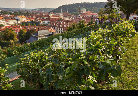 Hl. Wenzels Weinberg aus dem 10. Jahrhundert (Svatováclavská vinice) unterhalb der Prager Burg, Prag, Tschechien Stockfoto