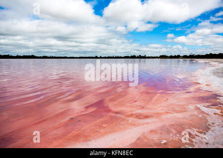 Pink Salt Lake in Asien Victoria Stockfoto