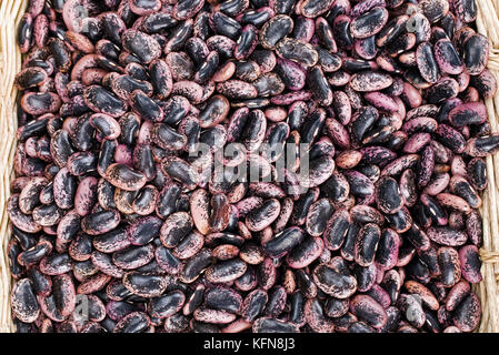 Phaseolus coccineus, getrocknet runner bean Seeds in einem Korb. Stockfoto