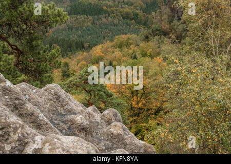 Herbst im Elbsandsteingebirge Region Bad Schandau Schrammsteine Stockfoto