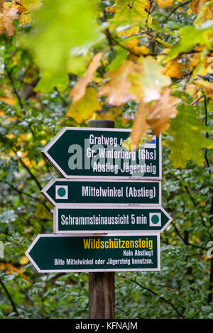 Herbst im Elbsandsteingebirge Region Bad Schandau Schrammsteine Stockfoto