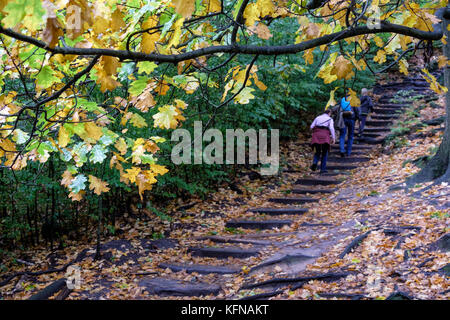 Herbst im Elbsandsteingebirge Region Bad Schandau Schrammsteine Stockfoto