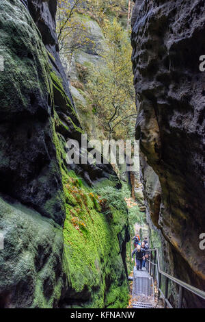 Herbst im Elbsandsteingebirge Region Bad Schandau Schrammsteine Stockfoto