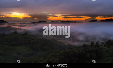 Sonne und neblig./Berg und Neblig in Phetchabun Provinz, Thailand. Stockfoto