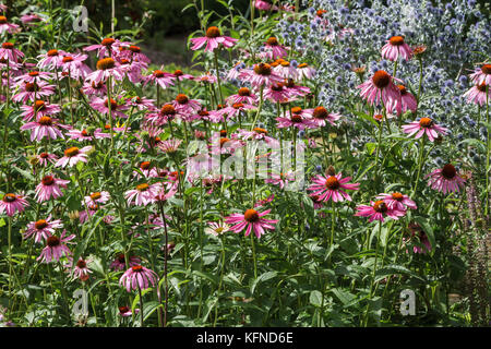 Schlosspark Ballenstedt Harz Stockfoto