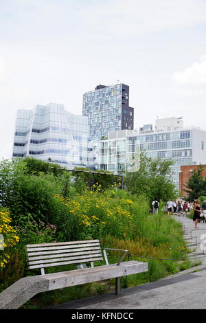 Landschaft an der Highline mit der Kulisse der New York City Wolkenkratzer, NYC, NY, USA Stockfoto