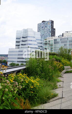 Landschaft an der Highline mit der Kulisse der New York City Wolkenkratzer, NYC, NY, USA Stockfoto