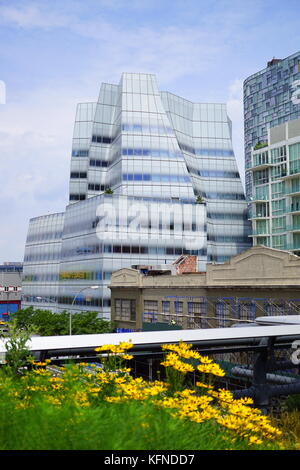 Landschaft an der Highline mit der Kulisse der New York City Wolkenkratzer, NYC, NY, USA Stockfoto