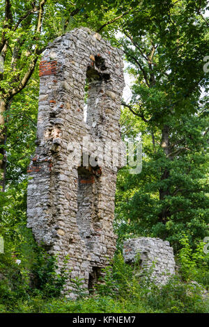 Stecklenburg brurgruine Harz Stockfoto