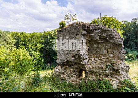 Stecklenburg brurgruine Harz Stockfoto