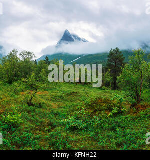 Berg im Nebel in das Tal Innerdalen Stockfoto