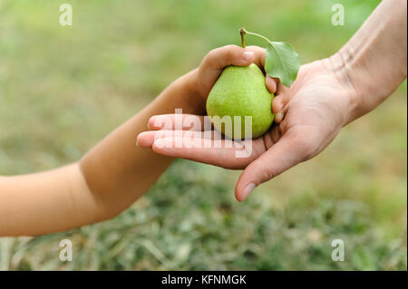Nahaufnahme, nimmt Womans Hand eine blaue Schale aus Küche Hängeschrank