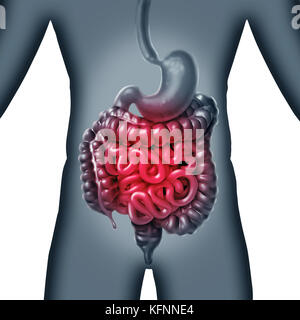 Darm, Darm Schmerzen und Entzündungen problem wie gastrointestnal Verdauung Verdauung Unbehagen oder Verstopfung und Infektionen. Stockfoto