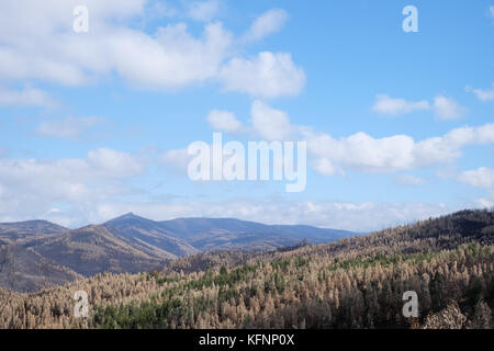Verbrannt Wald auf Hügeln, bei Waldbränden in Portugal Stockfoto