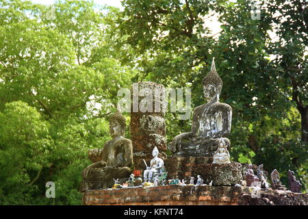 Ruine der meditierende Buddha Bild in Sukhothai Historical Park. zum Weltkulturerbe der UNESCO. touristische Reiseziel Sehenswürdigkeit in Thailand Stockfoto