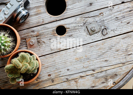 Zwei Kakteen und analoge Kamera auf gebrauchte Kabeltrommel Stockfoto