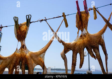 Octopus trocknen in der Sonne auf einer Linie. in Chania, Kreta, Griechenland fotografiert. Stockfoto