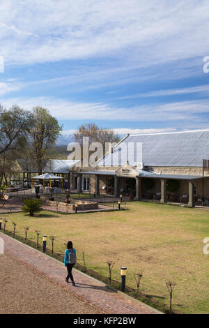 Frau an surval Boutique olive Estate, Oudtshoorn, Western Cape, Südafrika (mr) Stockfoto