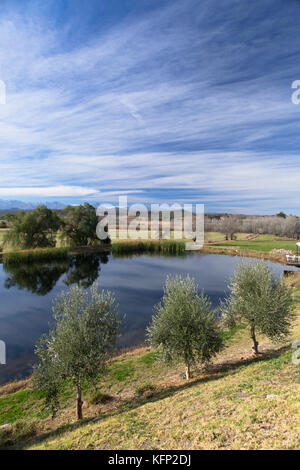 Blick auf die Swartberge aus surval Boutique olive Estate, Oudtshoorn, Western Cape, Südafrika Stockfoto