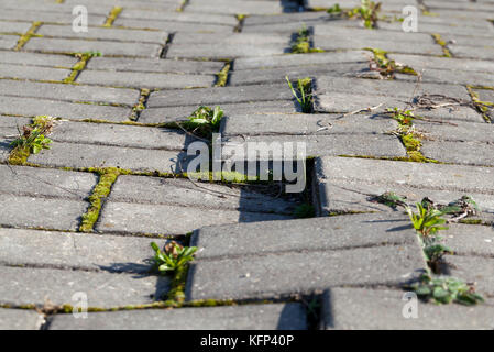 Gebrochene Fußgängerzone Stockfoto