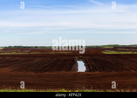 Torfabbau Stockfoto