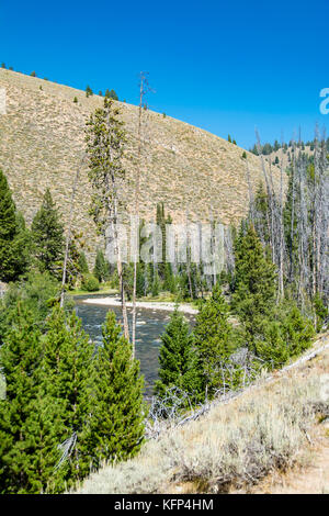 Malerischer Blick auf Salmon River in der Nähe von Stanley, Idaho, USA Stockfoto