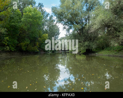 Landschaft Szene von Wasser und wilde Natur in Kopacki Rit, Kroatien Stockfoto