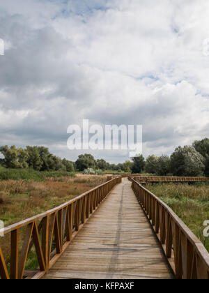 Neue holzbrücke im Naturpark Kopacki Rit in Kroatien Stockfoto