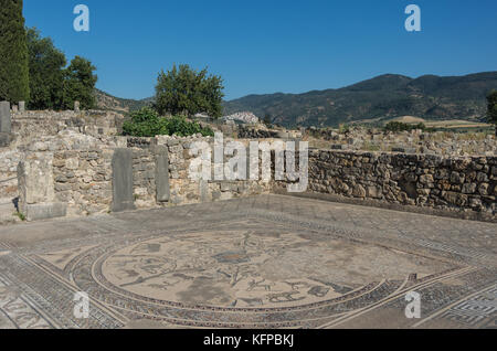 Mosaikfußboden, Volubilis Ruinen, die Ausgrabungen der römischen Stadt in die archäologische Stätte Volubilis, Marokko. Stockfoto