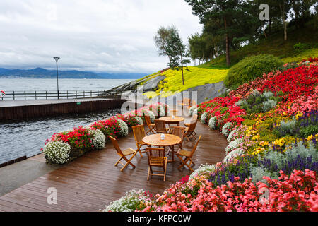 Tropischen Garten am Ufer der Insel Norwegens, regnerischen Wetter Stockfoto