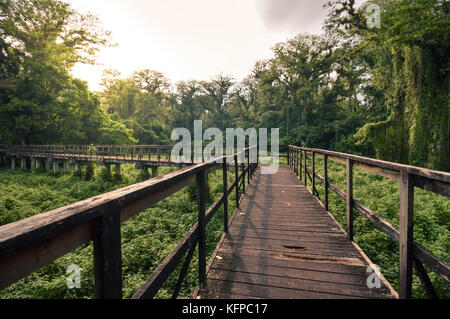 Lange Holzpromenade durch den Nationalpark Los Naranjos am See Yojoa im Westen von Honduras. Mittelamerika Stockfoto