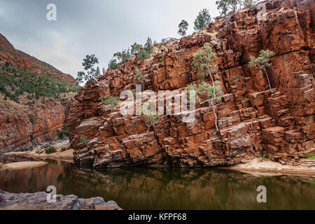 Die lurline Schlucht Wasserloch, West MacDonnell Range National Park, Northern Territory, Australien Stockfoto