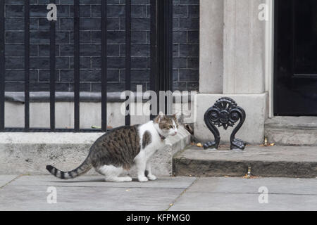 London, Großbritannien. 31 Okt, 2017. Larry der Downing Street wartet auf Minister der wöchentlichen Kabinettssitzung Kredit zu verlassen: Amer ghazzal/alamy leben Nachrichten Stockfoto