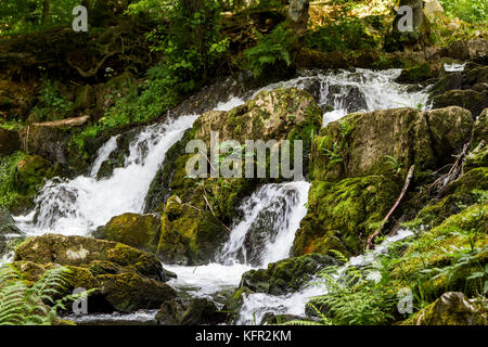 Wasserfall im Selketal Harz Stockfoto