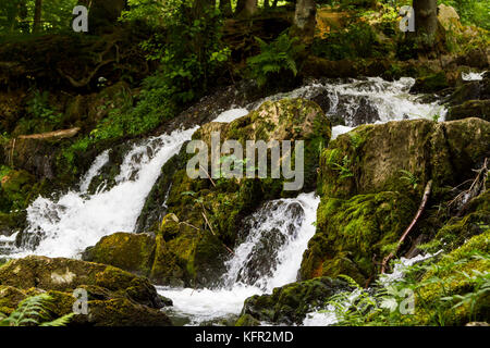 Wasserfall im Selketal Harz Stockfoto