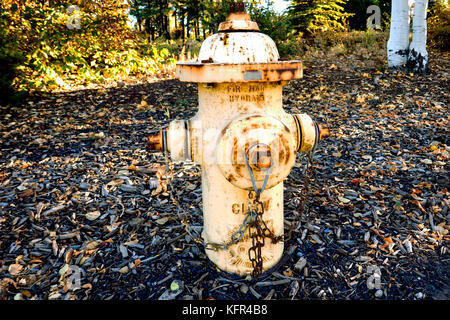 Gelbe Hydrant, ein wenig rostig, in Flagstaff Arizona USA Stockfoto