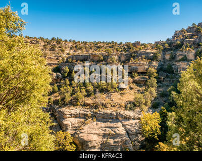 Wohnungen in der Walnut Canyon National Monument in der Nähe von Flagstaff, Arizona, USA Stockfoto