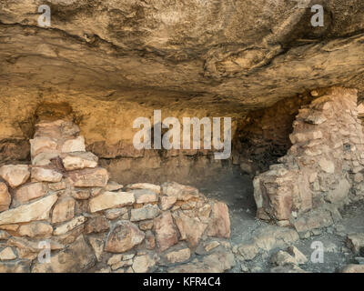 Wohnungen in der Walnut Canyon National Monument in der Nähe von Flagstaff, Arizona, USA Stockfoto