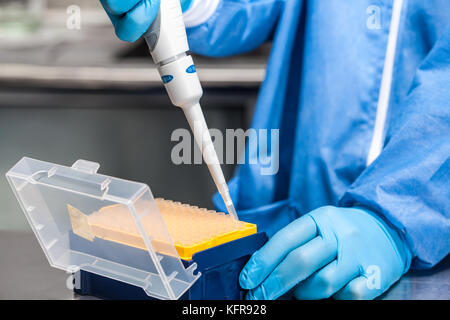 Wissenschaftler Anhängen einer Einweg Tipp zu einer Mikropipette Stockfoto