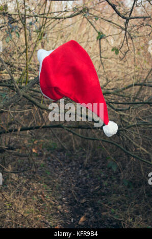 Santa Claus hat im Wald verloren Stockfoto