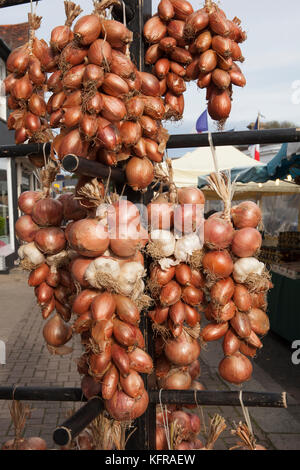 Speisezwiebeln, Schalotten und Knoblauch Zeichenfolgen in einem französischen Markt in Großbritannien Stockfoto