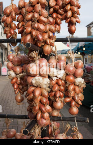 Speisezwiebeln, Schalotten und Knoblauch Zeichenfolgen in einem französischen Markt in Großbritannien Stockfoto